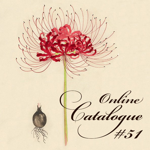 Online Catalogue #51