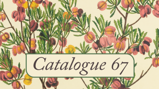 Catalogue 67