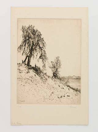 Item #101126 'In the Coorong'. Albert Edward WARNER, New Zealand Britain, and Australia, Ernest