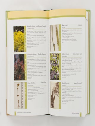 One Hundred Islands. The Flora of the Outer Furneaux