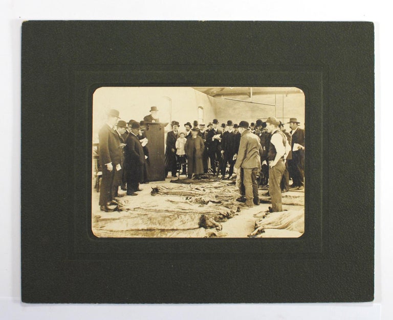 Item #102329 A vintage photograph of an auction of hides and skins in progress. Portrait of an Auctioneer.