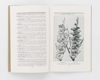 Gladioli. Spring 1930 [to] Autumn 1931. Errey Bros. Gladiolus Specialists, Camperdown, Victoria [cover title]