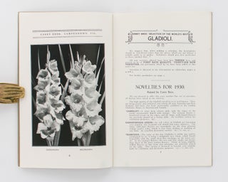 Gladioli. Spring 1930 [to] Autumn 1931. Errey Bros. Gladiolus Specialists, Camperdown, Victoria [cover title]