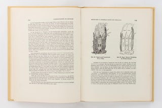 Die Mbowamb. Die Kultur der Hagenberg-Stamme im Ostlichen Zentral-Neuguinea. Erster Band. I: Allgemeiner Teil. II: Materielle Kultur und Wirtschaft. III: Kunst, Musik, Tanz und Spiele