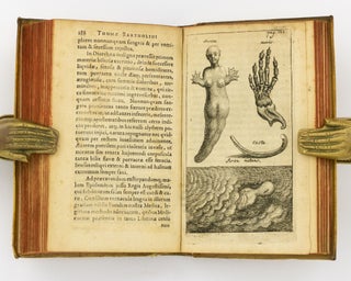 Historiarum Anatomicarum Rariorum. Centuria I et II