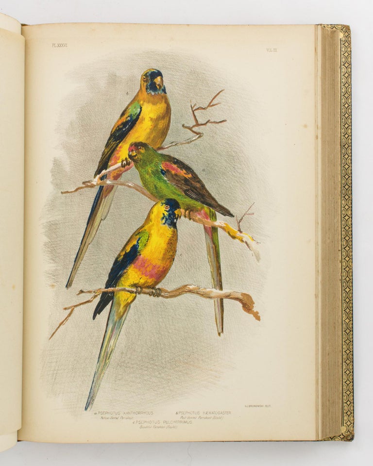 Item #107502 Birds of Australia. Comprising Three Hundred Full-Page Illustrations, with a Descriptive Account of the Life and Characteristic Habits of over Seven Hundred Species. Gracius Joseph BROINOWSKI.