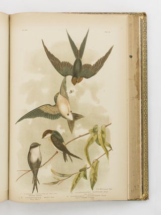 Birds of Australia. Comprising Three Hundred Full-Page Illustrations, with a Descriptive Account of the Life and Characteristic Habits of over Seven Hundred Species