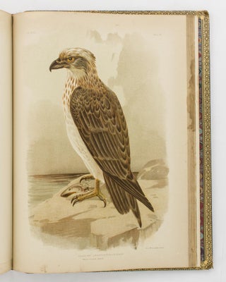 Birds of Australia. Comprising Three Hundred Full-Page Illustrations, with a Descriptive Account of the Life and Characteristic Habits of over Seven Hundred Species