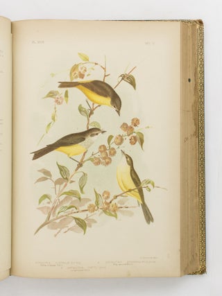 Birds of Australia. Comprising Three Hundred Full-Page Illustrations, with a Descriptive Account of the Life and Characteristic Habits of over Seven Hundred Species