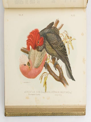 Birds of Australia. Comprising Three Hundred Full-Page Illustrations, with a Descriptive Account of the Life and Characteristic Habits of over Seven Hundred Species