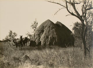 Item #108651 'A Monster Anthill' [Northern Territory, Australia, 1914]. Frank HURLEY