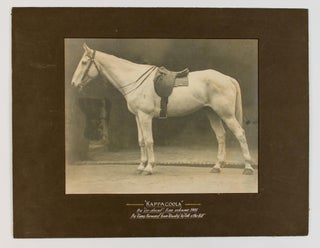 Item #109232 'Kappacoola' by 'Go-ahead' - Dam unknown 1905. By 'Gang Forward' from 'Rivalry' by...