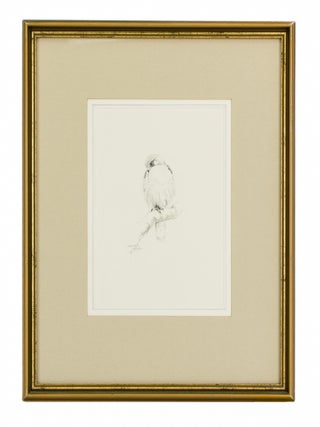Item #109619 Birds of South Australia. Jeremy BOOT
