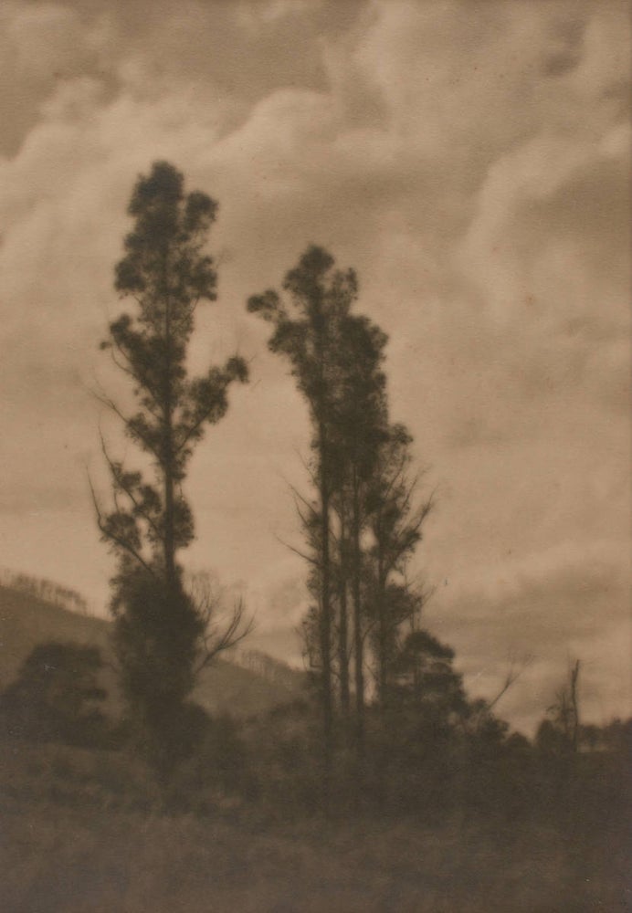 Item #109717 'The Foothills, Warburton'. A vintage gelatin silver photograph (visible image size 353 × 244 mm) on the original mount. John KAUFFMANN.