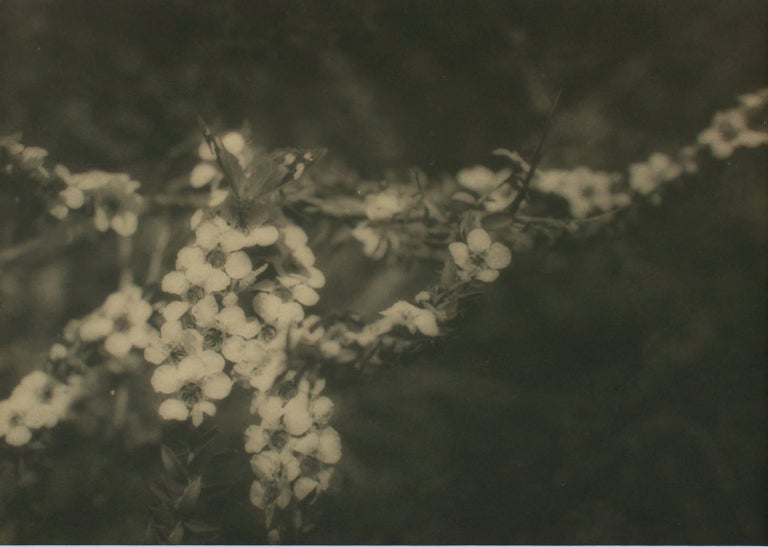 Item #109722 'The Lotus Eater'. A vintage gelatin silver photograph (visible image size 208 × 293 mm). John KAUFFMANN.