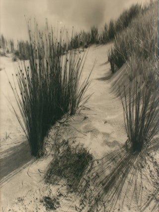Item #109723 'Sandhills, Port Victor'. A vintage gelatin silver photograph (visible...