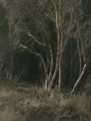 Item #109725 'Mystic Woods'. A vintage gelatin silver photograph (visible image size 269 × 369...
