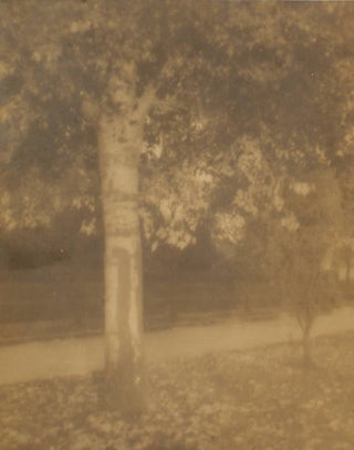 Item #109731 'Golden Autumn'. A vintage gelatin silver photograph (visible image size 181 × 144...