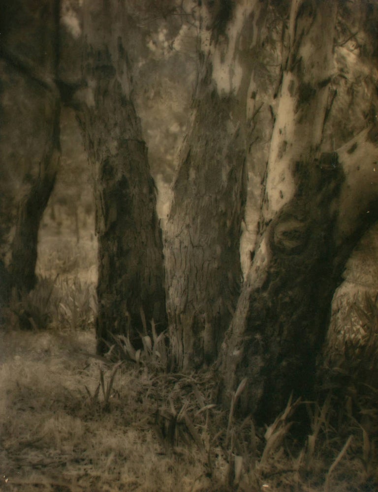 Item #109732 'The Three Graces'. A vintage gelatin silver photograph (visible image size 213 &times; 174 mm). John KAUFFMANN.