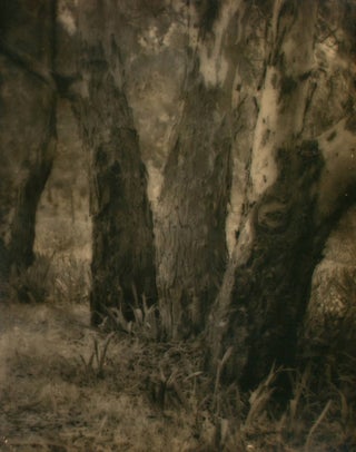 Item #109732 'The Three Graces'. A vintage gelatin silver photograph (visible image...