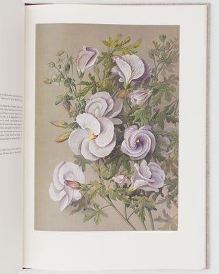 Flower Paintings of Ellis Rowan. From the collection of the National Library of Australia. With an introduction by Margaret Hazzard and notes on the flowers by Helen Hewson