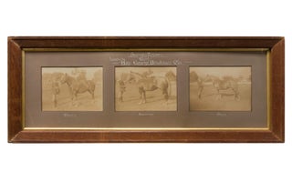 Item #110463 'Suffolk Punch Mares, Imported by Hon. George Brookman MLC'. A triptych of three...