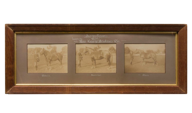 Item #110463 'Suffolk Punch Mares, Imported by Hon. George Brookman MLC'. A triptych of three original sepia-toned gelatin silver photographs in the original mount (with calligraphic captions in white ink) and frame (external dimensions 345 × 875 mm). Each image (visible size approximately 145 × 200 mm) shows Sir George Brookman (1850-1927, mining speculator, politician and philanthropist) holding the lead rope of one of the three Suffolk Punch mares he imported for his stud farm at O'Halloran Hill around the middle of 1905. The horses are identified as Beauty, Snowdrop and Molly. Sir George BROOKMAN.