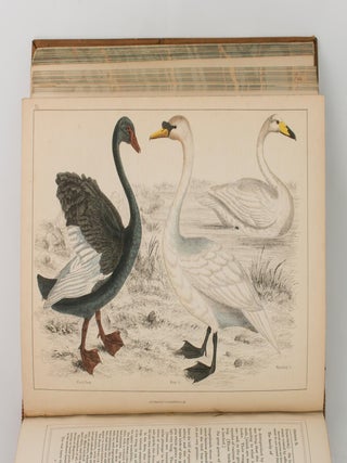 The Animal Kingdom, arranged after its Organization; forming a Natural History of Animals, and an Introduction to Comparative Anatomy. By the late Baron Cuvier ... translated and adapted to the Present State of Science. A New Edition, with Additions by W.B. Carpenter ... and J.O. Westwood