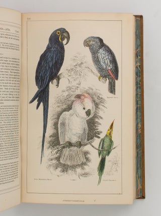 The Animal Kingdom, arranged after its Organization; forming a Natural History of Animals, and an Introduction to Comparative Anatomy. By the late Baron Cuvier ... translated and adapted to the Present State of Science. A New Edition, with Additions by W.B. Carpenter ... and J.O. Westwood