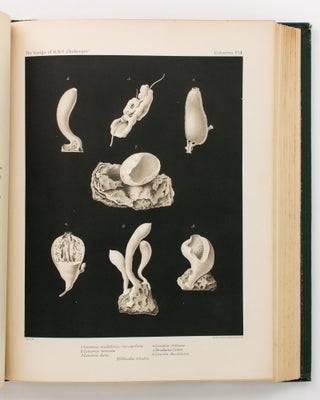 Report of the Scientific Results of the Voyage of HMS 'Challenger' during the years 1873-76 under the command of Captain George S. Nares ... and the late Captain Frank Tourle Thomson. Zoology. Volume XXII: Report on the Deep-Sea Fishes collected by HMS 'Challenger' during the years 1873-1876. By Albert Gunther
