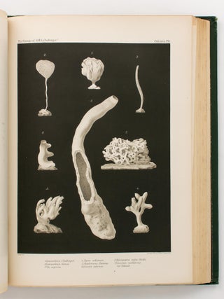 Report of the Scientific Results of the Voyage of HMS 'Challenger' during the years 1873-76 under the command of Captain George S. Nares ... and the late Captain Frank Tourle Thomson. Zoology. Volume XXII: Report on the Deep-Sea Fishes collected by HMS 'Challenger' during the years 1873-1876. By Albert Gunther