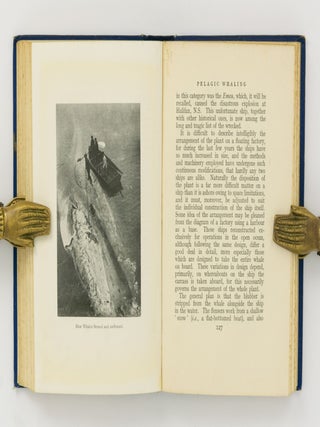 Whaling in the Antarctic