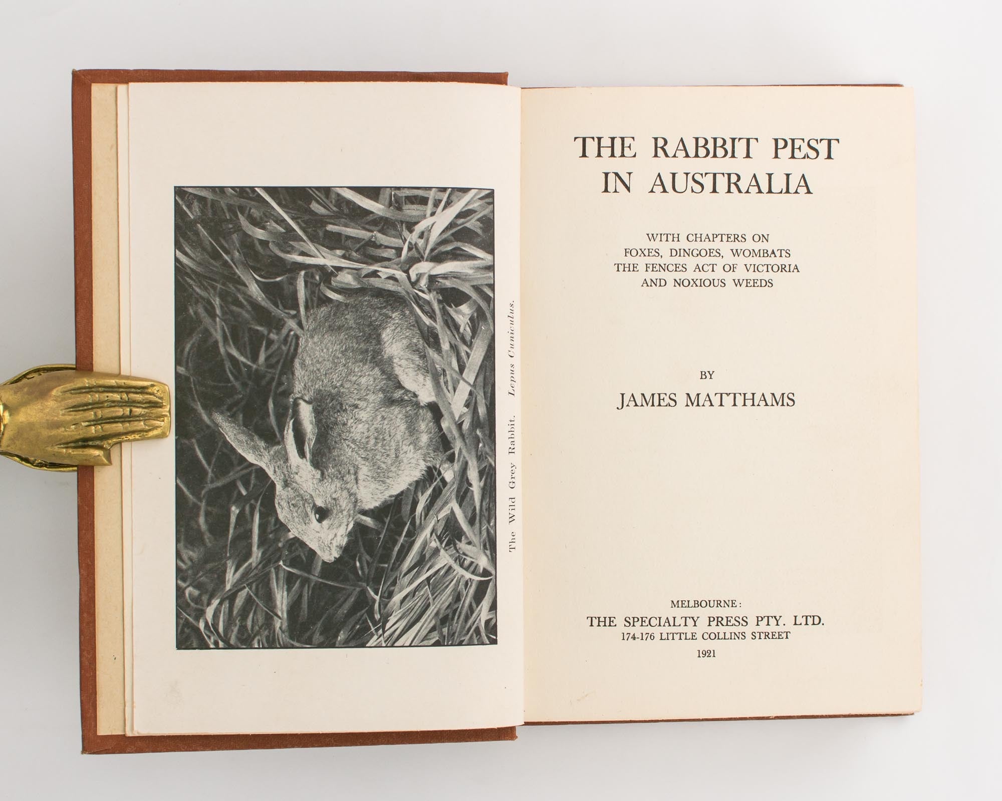 Australian Rabbit Pest The Rabbit Pest in Australia. With Chapters on Foxes, Dingoes, Wombats ...