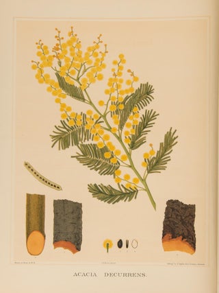 The Forest Flora of South Australia