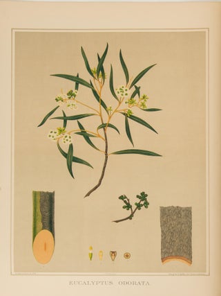 The Forest Flora of South Australia
