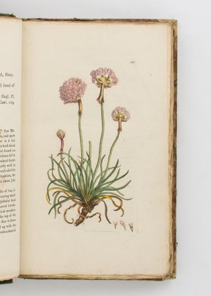 Item #112535 English Botany, or, Coloured Figures of British Plants ... Volume IV. James SOWERBY,...