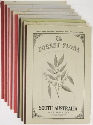 Item #112655 The Forest Flora of South Australia. John Ednie BROWN