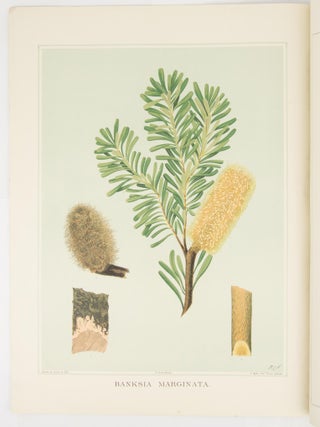 The Forest Flora of South Australia