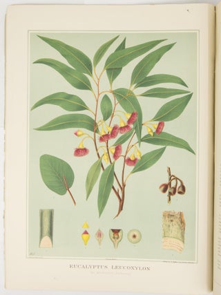 The Forest Flora of South Australia
