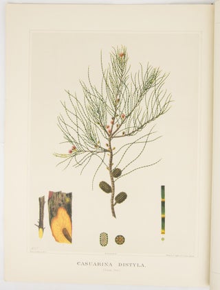 The Forest Flora of South Australia