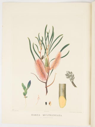 The Forest Flora of South Australia