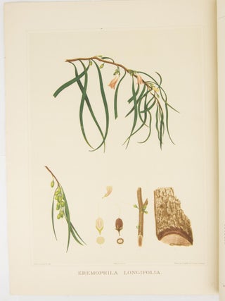 The Forest Flora of South Australia