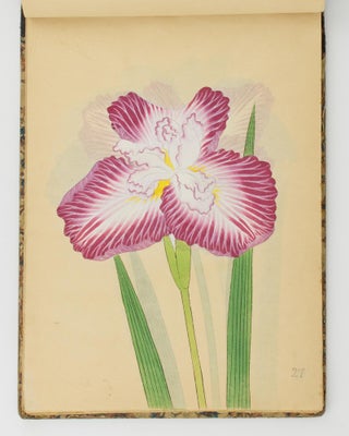 A superb catalogue from the Yokohama Nursery Company, containing 143 full-page hand-coloured plates of Japanese lilies, irises and maples