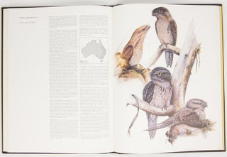 Nocturnal Birds of Australia