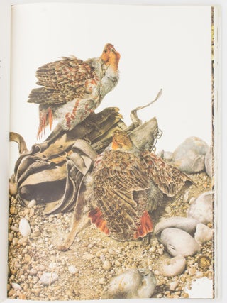 Raymond Ching. The Bird Paintings. Water Colours and Pencil Drawings, 1969-1975