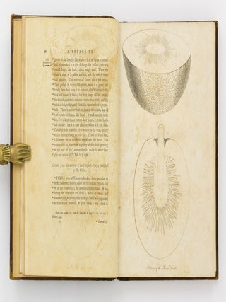 A Voyage to the South Sea, undertaken by Command of His Majesty, for the Purpose of conveying the Bread-fruit Tree to the West Indies, in His Majesty's Ship the 'Bounty', commanded by Lieutenant William Bligh. Including an Account of the Mutiny on board the said Ship, and the Subsequent Voyage of Part of the Crew, in the Ship's Boat, from Tofoa, one of the Friendly Islands, to Timor, a Dutch Settlement in the East Indies. The whole illustrated with Charts, &c. Published by permission of the Lords Commissioners of the Admiralty