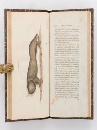 An Account of the English Colony in New South Wales, with Remarks on the Dispositions, Customs, Manners, &c. of the Native Inhabitants of that Country. To which are added, some Particulars of New Zealand, compiled, by permission, from the MSS. of Lieutenant-Governor King