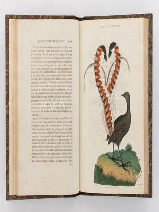 An Account of the English Colony in New South Wales, with Remarks on the Dispositions, Customs, Manners, &c. of the Native Inhabitants of that Country. To which are added, some Particulars of New Zealand, compiled, by permission, from the MSS. of Lieutenant-Governor King
