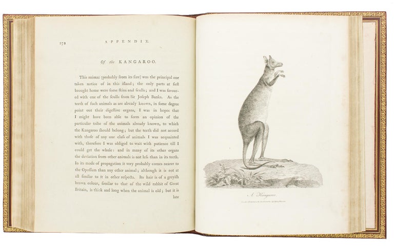 Item #114120 Journal of a Voyage to New South Wales, with Sixty-five Plates of Nondescript Animals, Birds, Lizards, Serpents, Curious Cones of Trees and other Natural Productions. John WHITE.