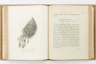 Journal of a Voyage to New South Wales, with Sixty-five Plates of Nondescript Animals, Birds, Lizards, Serpents, Curious Cones of Trees and other Natural Productions